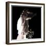 Flowers-Gideon Ansell-Framed Photographic Print