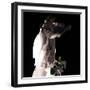 Flowers-Gideon Ansell-Framed Photographic Print