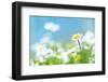 Flowers-photoslb com-Framed Photographic Print