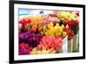 Flowers-mjbence-Framed Photographic Print