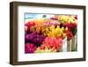 Flowers-mjbence-Framed Photographic Print