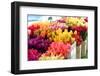 Flowers-mjbence-Framed Photographic Print