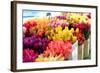 Flowers-mjbence-Framed Photographic Print