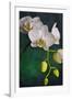 Flowers-Gordon Semmens-Framed Photographic Print