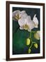 Flowers-Gordon Semmens-Framed Photographic Print