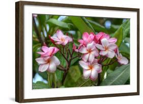 Flowers-Robert Kaler-Framed Photographic Print