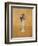 Flowers-Giorgio Morandi-Framed Giclee Print