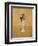 Flowers-Giorgio Morandi-Framed Giclee Print