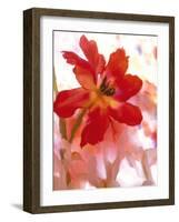 Flowers-Andrzej Pluta-Framed Giclee Print