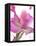 Flowers-Andrzej Pluta-Framed Stretched Canvas