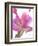 Flowers-Andrzej Pluta-Framed Giclee Print