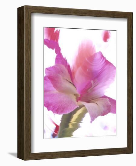 Flowers-Andrzej Pluta-Framed Giclee Print