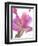 Flowers-Andrzej Pluta-Framed Giclee Print