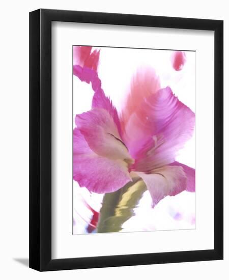 Flowers-Andrzej Pluta-Framed Giclee Print