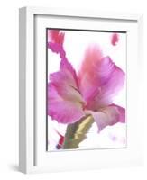 Flowers-Andrzej Pluta-Framed Giclee Print