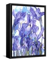 Flowers-Andrzej Pluta-Framed Stretched Canvas