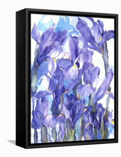 Flowers-Andrzej Pluta-Framed Stretched Canvas