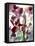 Flowers-Andrzej Pluta-Framed Stretched Canvas