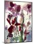 Flowers-Andrzej Pluta-Mounted Giclee Print