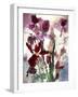 Flowers-Andrzej Pluta-Framed Giclee Print