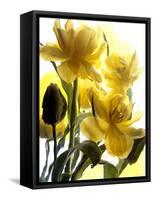 Flowers-Andrzej Pluta-Framed Stretched Canvas