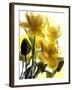 Flowers-Andrzej Pluta-Framed Giclee Print