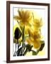 Flowers-Andrzej Pluta-Framed Giclee Print