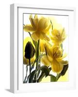 Flowers-Andrzej Pluta-Framed Giclee Print