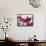 Flowers-Andrzej Pluta-Framed Stretched Canvas displayed on a wall