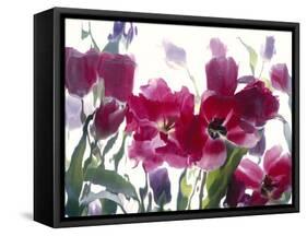 Flowers-Andrzej Pluta-Framed Stretched Canvas