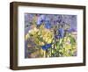 Flowers-Andrzej Pluta-Framed Giclee Print