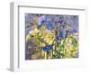 Flowers-Andrzej Pluta-Framed Giclee Print