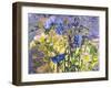 Flowers-Andrzej Pluta-Framed Giclee Print