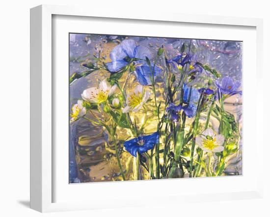 Flowers-Andrzej Pluta-Framed Giclee Print