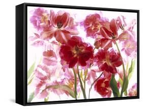 Flowers-Andrzej Pluta-Framed Stretched Canvas