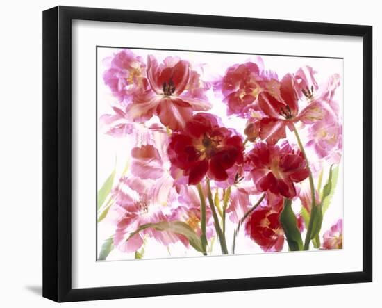 Flowers-Andrzej Pluta-Framed Giclee Print