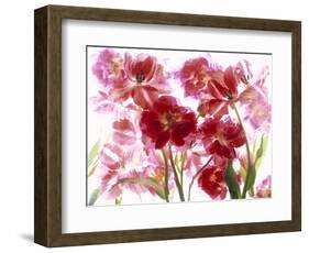 Flowers-Andrzej Pluta-Framed Giclee Print