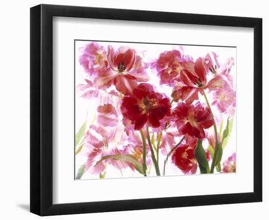 Flowers-Andrzej Pluta-Framed Giclee Print