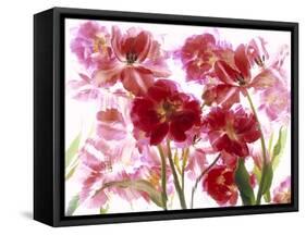 Flowers-Andrzej Pluta-Framed Stretched Canvas