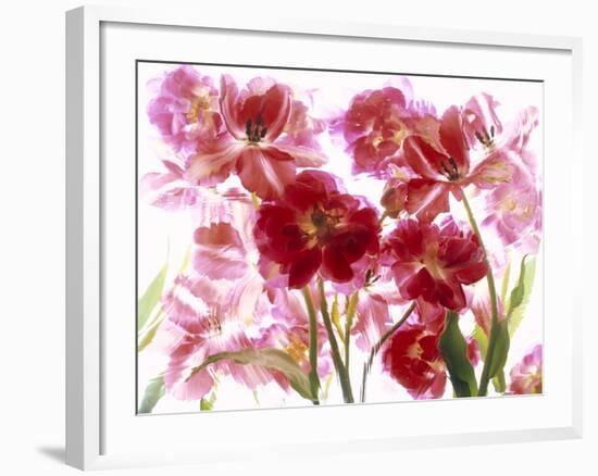 Flowers-Andrzej Pluta-Framed Giclee Print