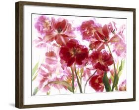 Flowers-Andrzej Pluta-Framed Giclee Print