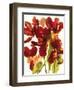 Flowers-Andrzej Pluta-Framed Giclee Print