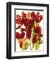 Flowers-Andrzej Pluta-Framed Giclee Print