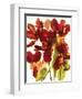 Flowers-Andrzej Pluta-Framed Giclee Print