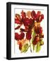 Flowers-Andrzej Pluta-Framed Giclee Print