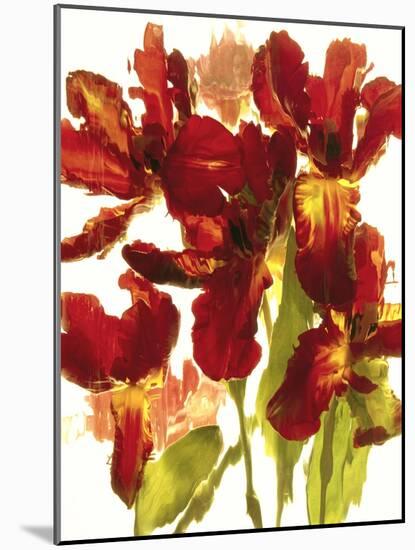 Flowers-Andrzej Pluta-Mounted Giclee Print