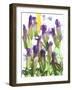 Flowers-Andrzej Pluta-Framed Giclee Print