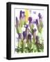 Flowers-Andrzej Pluta-Framed Giclee Print