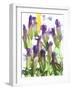 Flowers-Andrzej Pluta-Framed Giclee Print