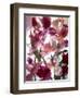 Flowers-Andrzej Pluta-Framed Giclee Print